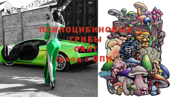эйфоретик Алзамай